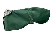 LEVRIERO / WHIPPET / LURCHER