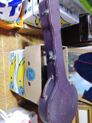 Bengio chitarra vintage - bengio,