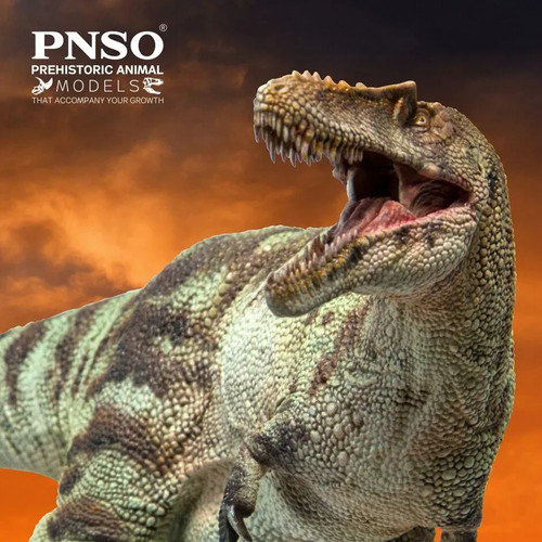 Pnso 2020 shu the - a-shu,