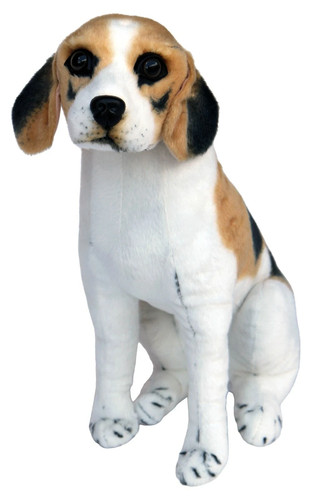Peluche cane beagle - peluche,