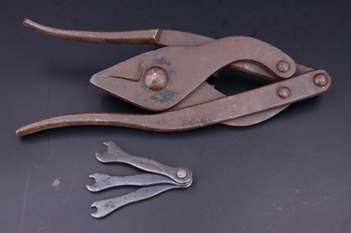 Pioniere wwii taglierina - pioniere,