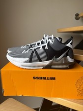 nike lebron witness VII taille