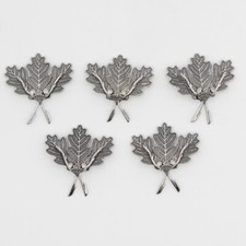 5x Zanne di Cinghiale Foglie