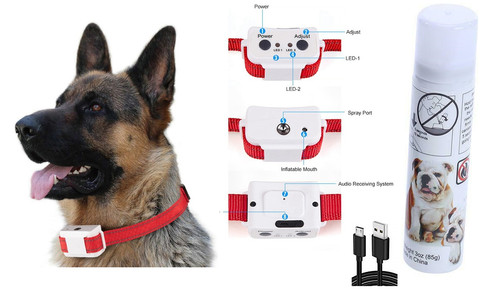 Collare per cani - collare,
