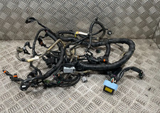Cablaggio motore Nissan NV200