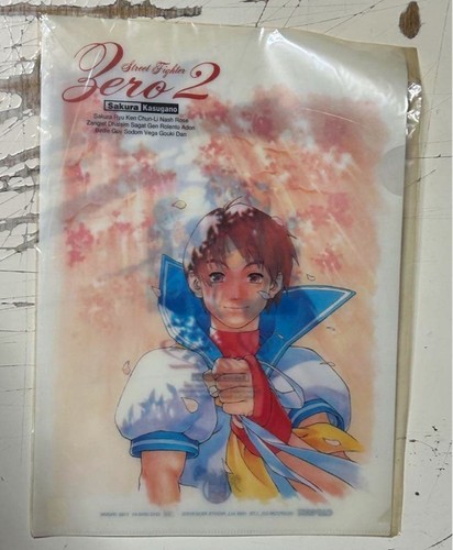 Street fighter zero kasuga - 2,