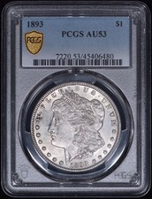 1893 Morgan Silver Dollar $1