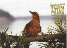 Cartoline Twin Peaks - Lotto