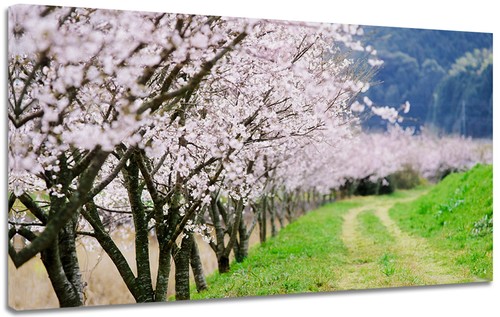 Quadro moderno arredamento - quadro,