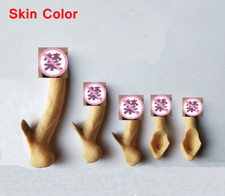 Scala 1/6 5PCS organo genitale