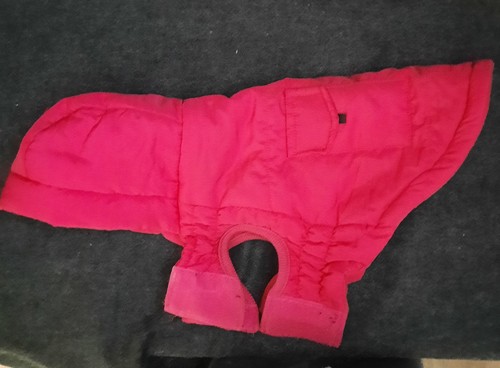 Cappotto cane rosa cuore - , a