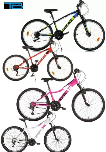 Bici mtb aurelia dino - bici,