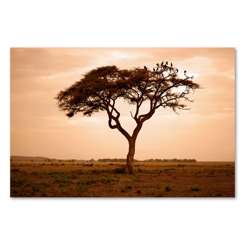Postereck 3289 poster tela - 3289,