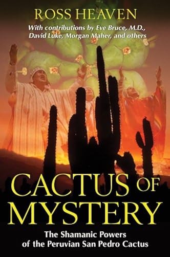 Cactus mystery the - cactus,