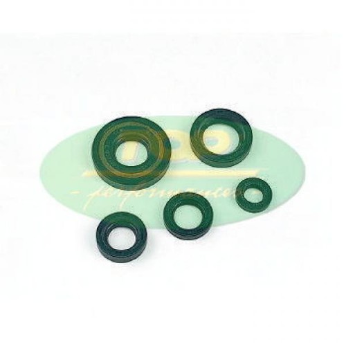 K060050 kit paraoli piaggio - kit,