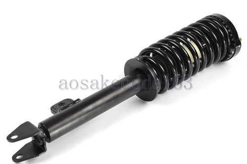 Ammortizzatore completo - 1x,