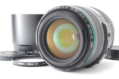 Canon 300mm 5 - ef, f/4.5-5.6