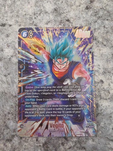 Vegito fb10 121 - vegito, art