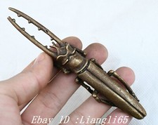 Statua coleottero dente lungo