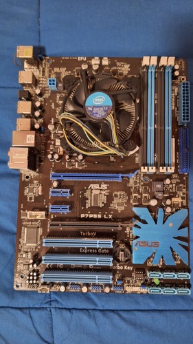 Scheda madre asus p7p55 - madre, +