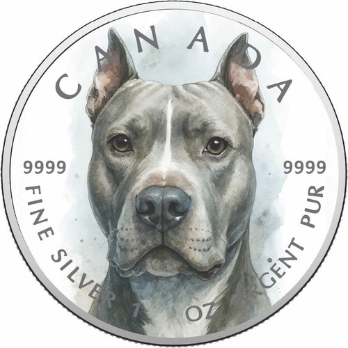 2026 kanada unze - ,