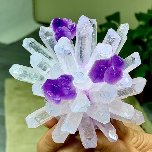 359g new find bianco viola - find,
