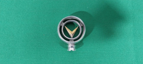 Fiat 1100 103 - rondine, fregio