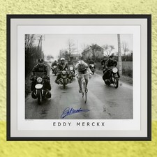 Stampa firmata Eddy Merckx