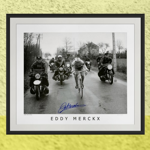 Stampa firmata eddy merckx - firmata,