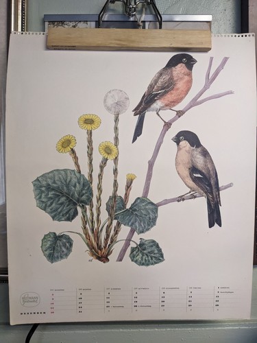 Calendario vintage 1962
