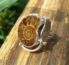 RX Anello Argento 925 Ammonite