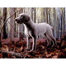 Occhielli 5510 Weimaraner 47