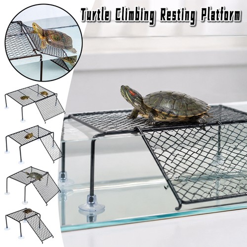 Piattaforma basking tartaruga