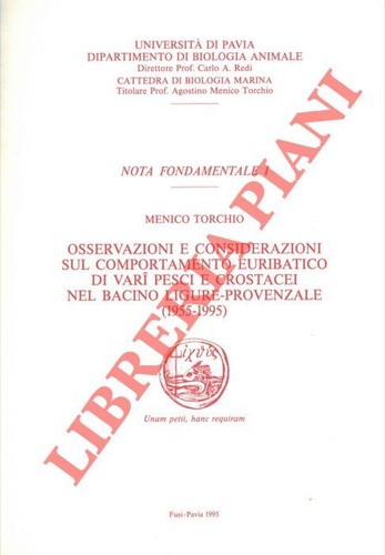 Torchio menico osservazioni - menico,