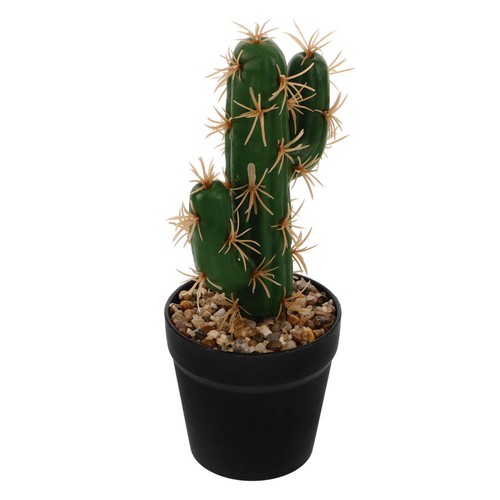 Cactus finto piccolo piantine - cactus,