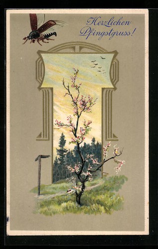Cartolina goffrata maggiolino - goffrata,