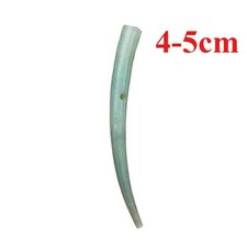 Conchiglia naturale avorio