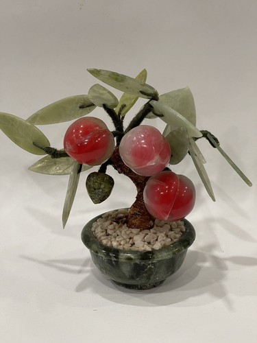 Mini bonsai asiatico - , vintage