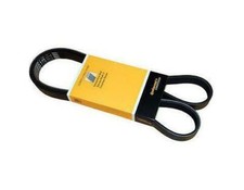 CINGHIA ALTERNATORE AUSILIARE FORD FOCUS II C-MAX 1.6 TDCI 90 110 CV dal 2003