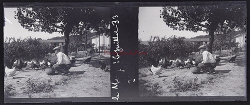 Francia fattoria pollaio 1933 - fattoria,