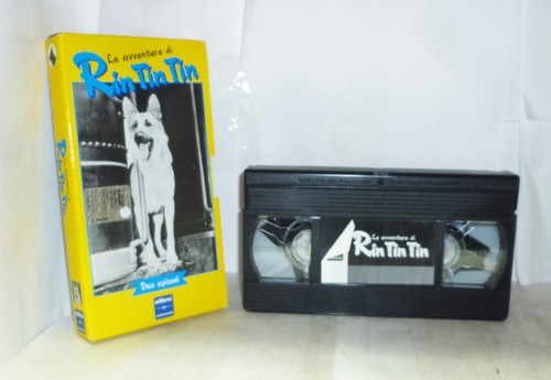 Avventure rin tin - tin,