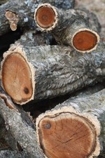 LEGNA DA ARDERE DI QUERCIA IN