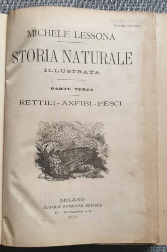 Storia naturale illustrata - storia,