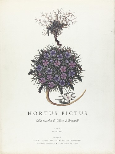 Hortus pictus dalla raccolta - hortus,