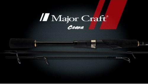 Vendita canna spinning - da,