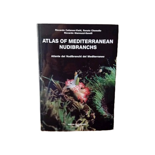 Atlas mediterranean - of,