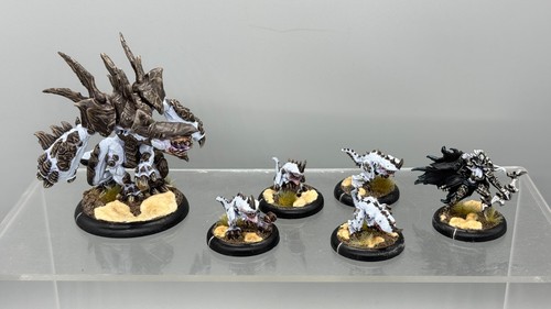 Warmachine hordes starter - -,