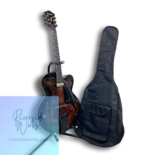 Chitarra acustica ibanez - chitarra,