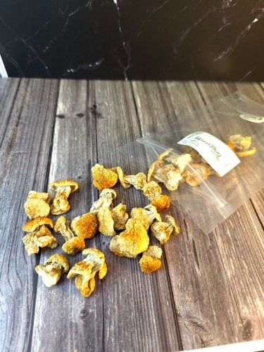 Funghi porcini piccoli interi