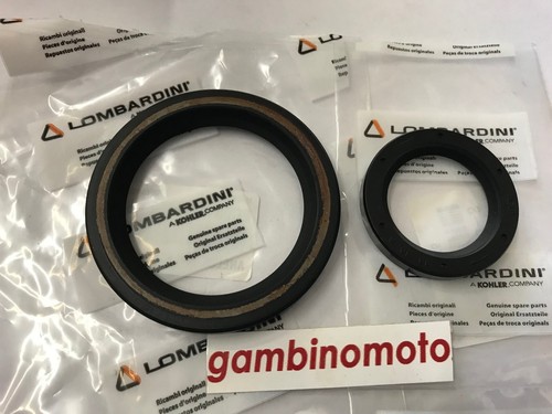 Paraoli motore lombardini - paraoli,